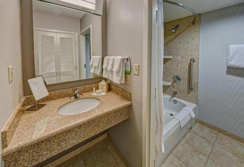 اتاق استاندارد با تخت بزرگ, Courtyard By Marriott Abilene Southwest/abilene Mall South