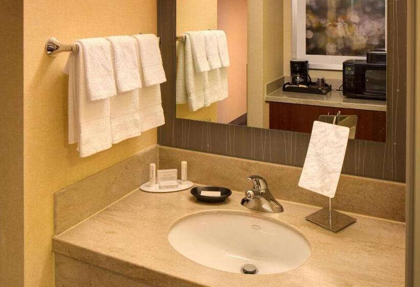 اتاق استاندارد با تخت بزرگ, Courtyard By Marriott Anchorage Airport