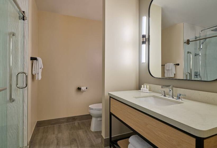 Standard Room Double Bed Adapted for people with reduced mobility, Courtyard By Marriott Denver Downtown