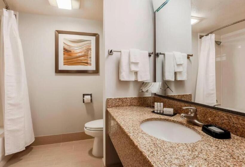 اتاق استاندارد با تخت بزرگ, Courtyard By Marriott Orlando Lake Mary North