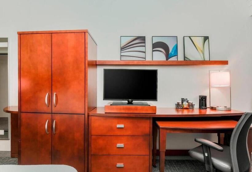 اتاق لوکس با تخت بزرگ, Courtyard By Marriott Orlando Lake Mary North