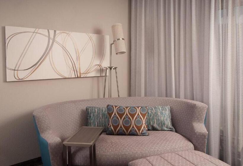 اتاق استاندارد با تخت بزرگ, Courtyard Charleston Waterfront