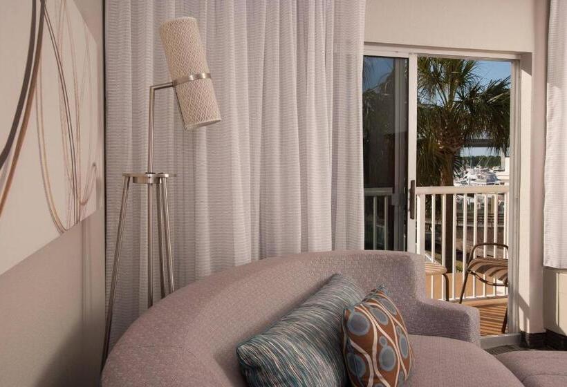 اتاق استاندارد با تخت بزرگ, Courtyard Charleston Waterfront