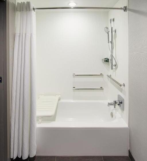 اتاق استاندارد برای معلولان, Courtyard By Marriott Chicago Downtown/river North