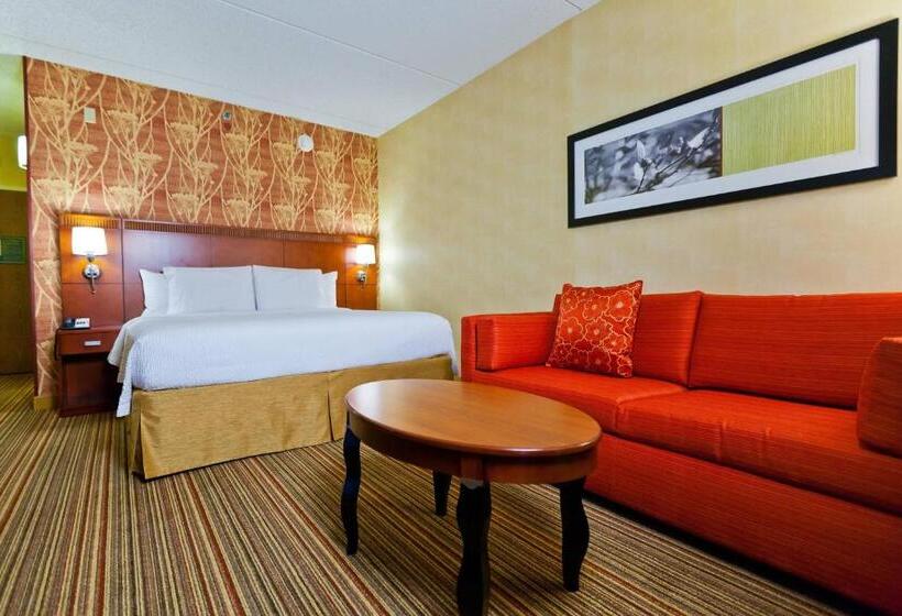 اتاق استاندارد با تخت بزرگ, Courtyard Chicago O'hare
