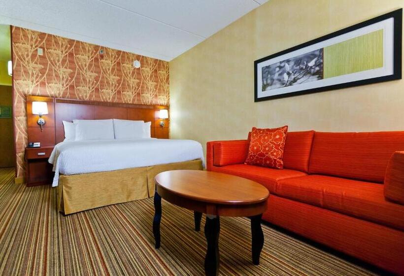 Chambre Standard Lit King Size, Courtyard Chicago O'hare