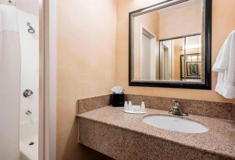 اتاق استاندارد با 2 تخت دوبل, Courtyard Chicago O'hare