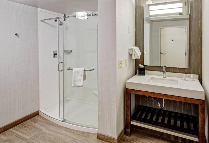 اتاق استاندارد با تخت بزرگ, Courtyard By Marriott Nashville Vanderbilt West End