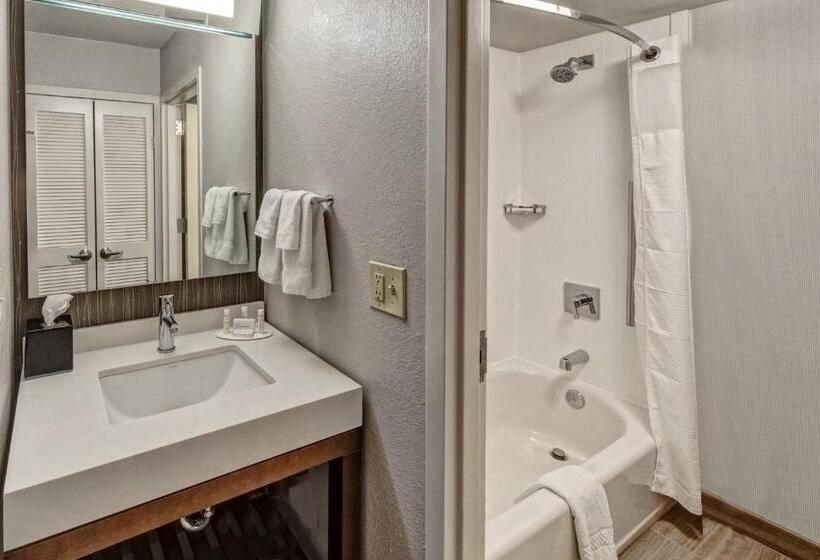 اتاق استاندارد برای معلولان, Courtyard By Marriott Nashville Vanderbilt West End