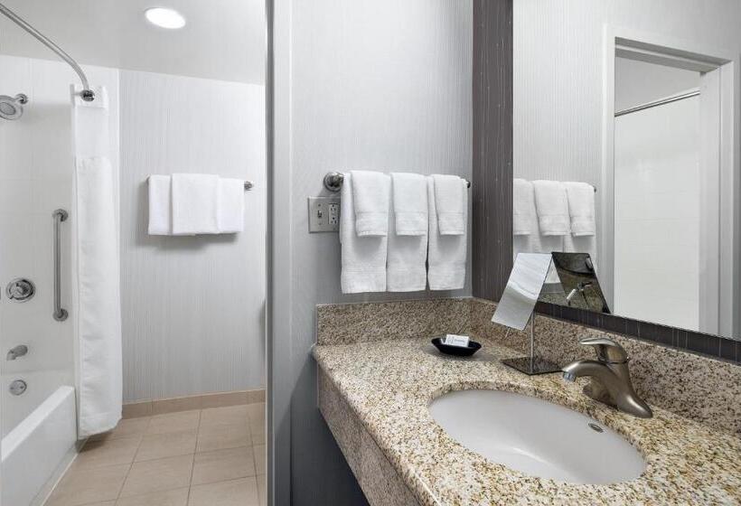 اتاق استاندارد با تخت بزرگ, Courtyard By Marriott Pittsburgh Airport