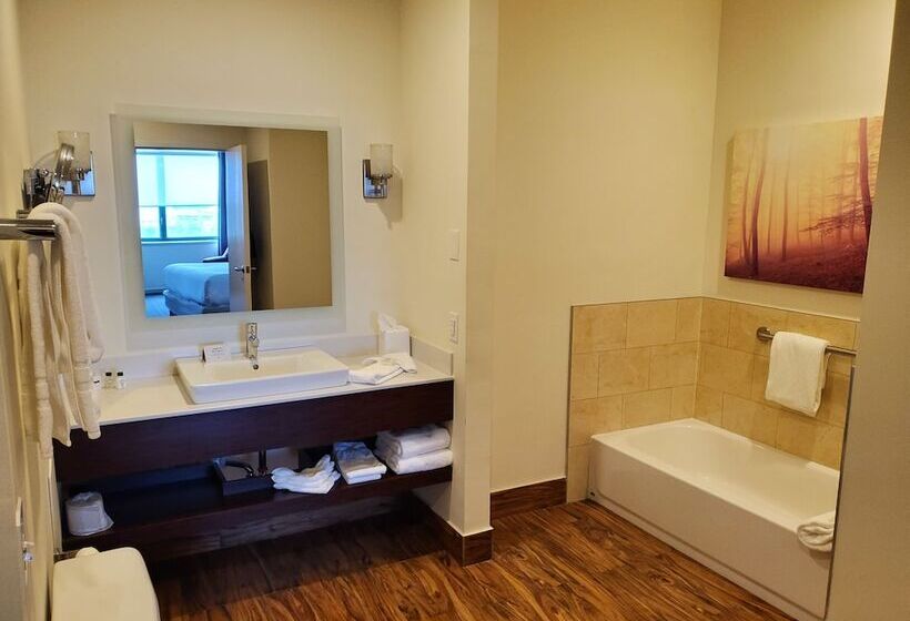 套房, Crowne Plaza Springfield Convention Center, An Ihg