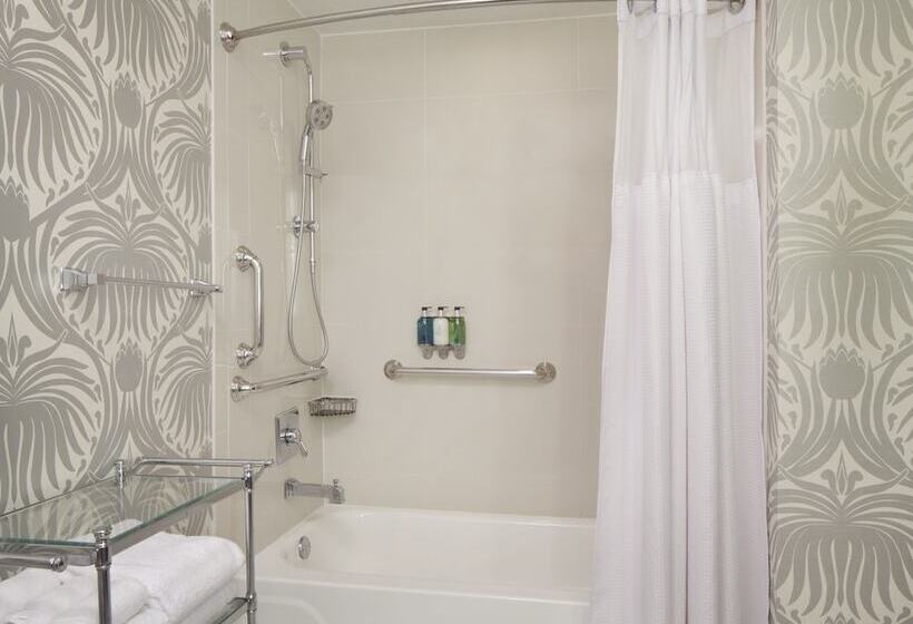 اتاق دلوکس مخصوص معلولین, Silversmith Hotel Chicago Downtown