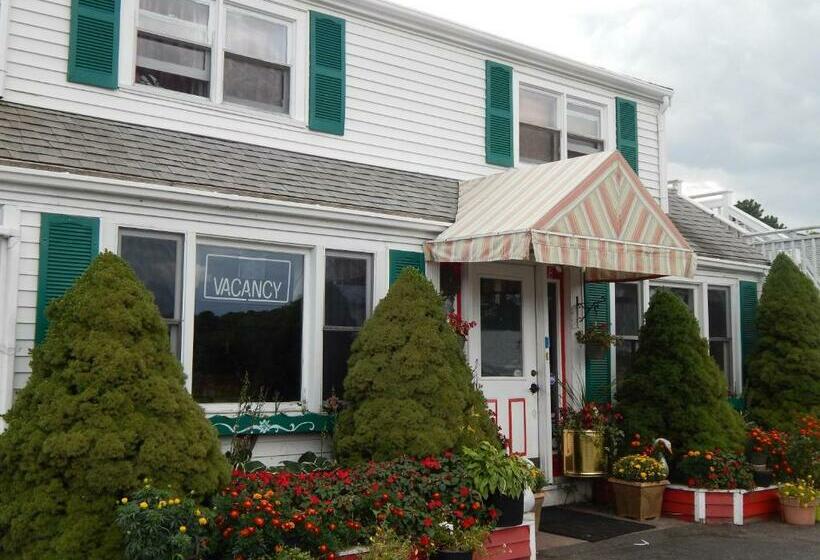 غرفة قياسية, Knights Inn  Centerville Ma