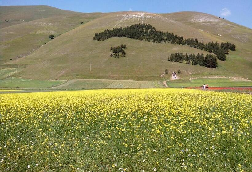 اتاق استاندارد, B&b Nonna Rosa