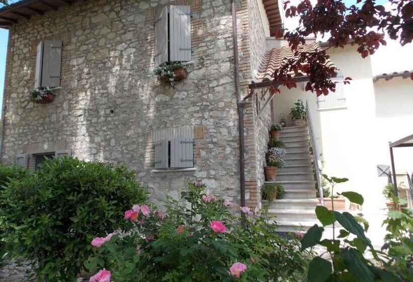 اتاق استاندارد, B&b Nonna Rosa