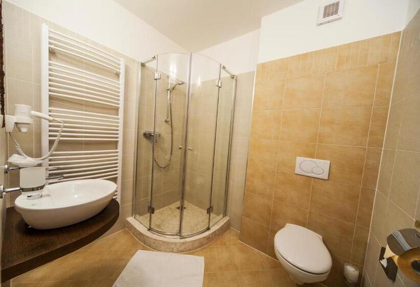 اتاق استاندارد, Slamený Dom & Spa