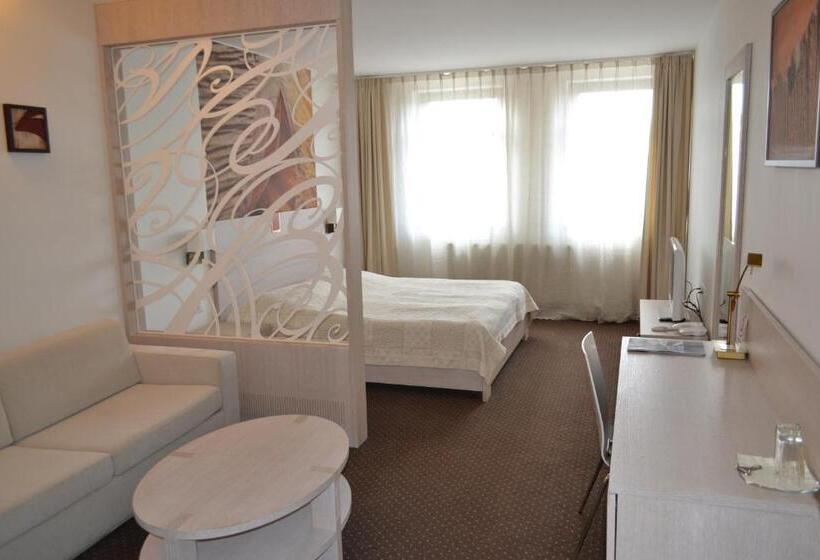 اتاق کلاس بیزنس, Slamený Dom & Spa
