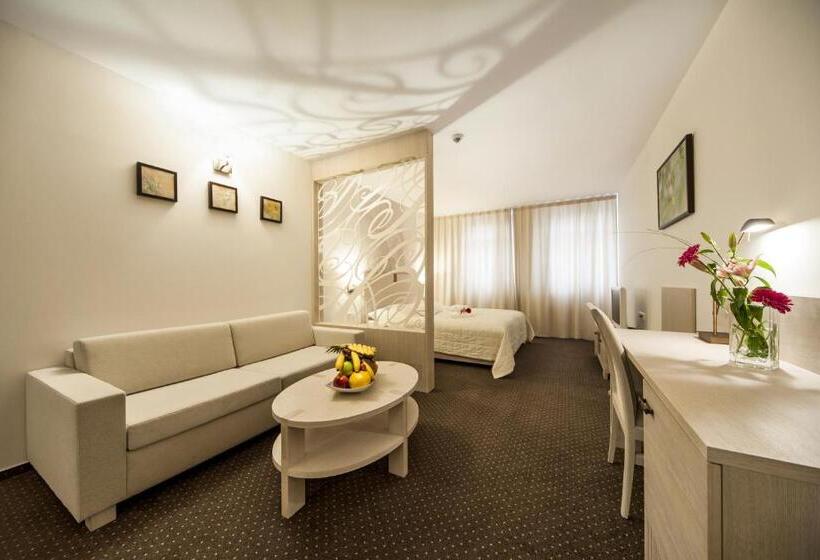 اتاق کلاس بیزنس, Slamený Dom & Spa