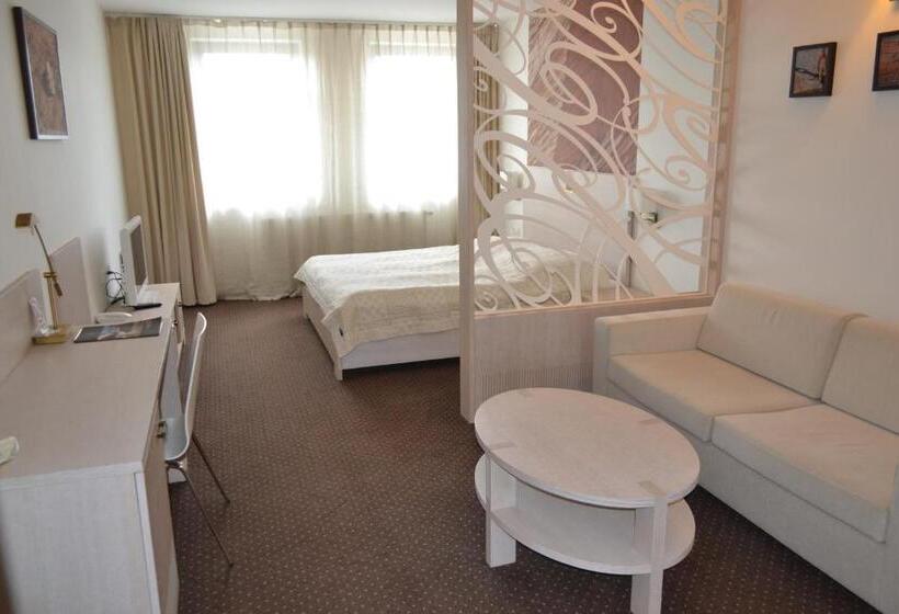 اتاق کلاس بیزنس, Slamený Dom & Spa