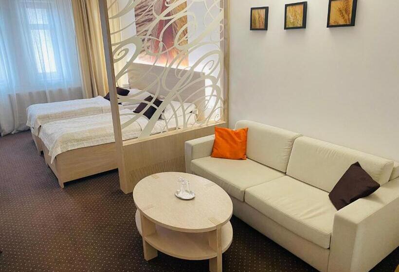 اتاق استاندارد, Slamený Dom & Spa