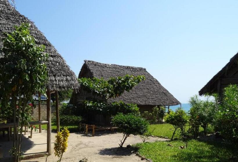 اتاق لوکس با بالکن و چشم‌انداز دریا, Jabar Lodge