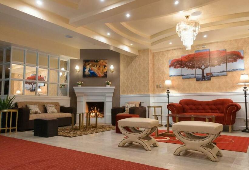 سوییت جونیور لوکس, Paradis Suite Cusco