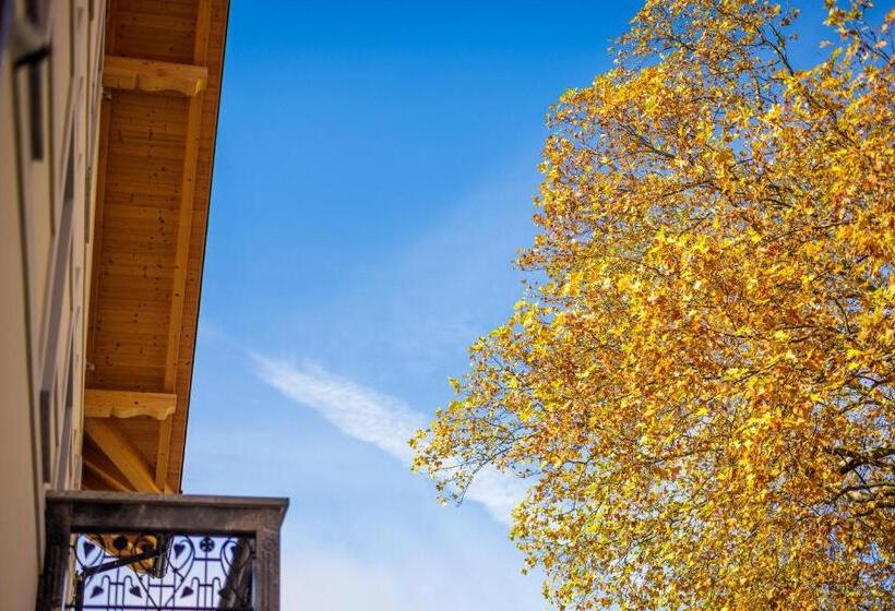 اتاق استاندارد با تخت بزرگ, Boutique Hotel Sunrose 7   Gourmet & Spa