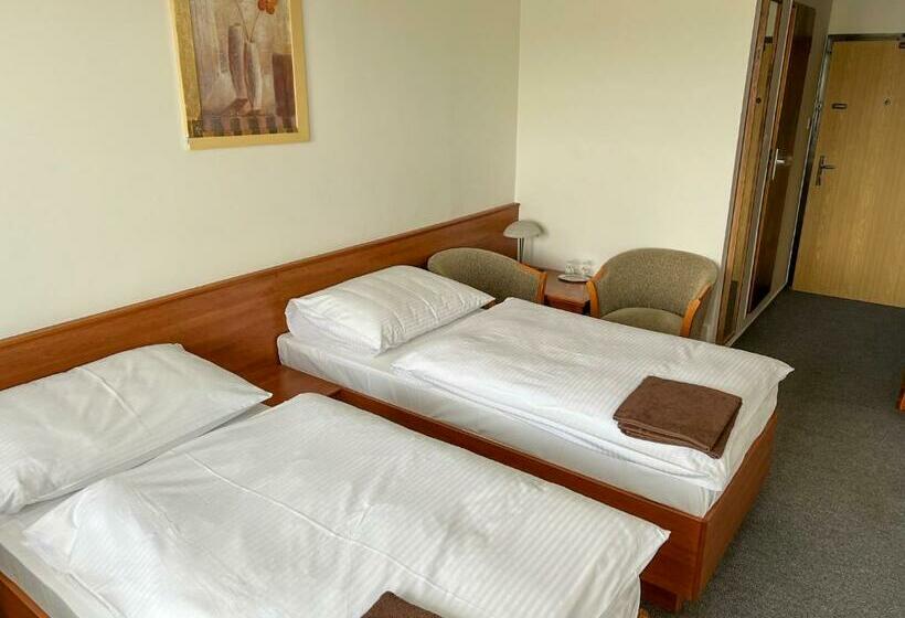 اتاق استاندارد با بالکن, Retro Hotel Suza