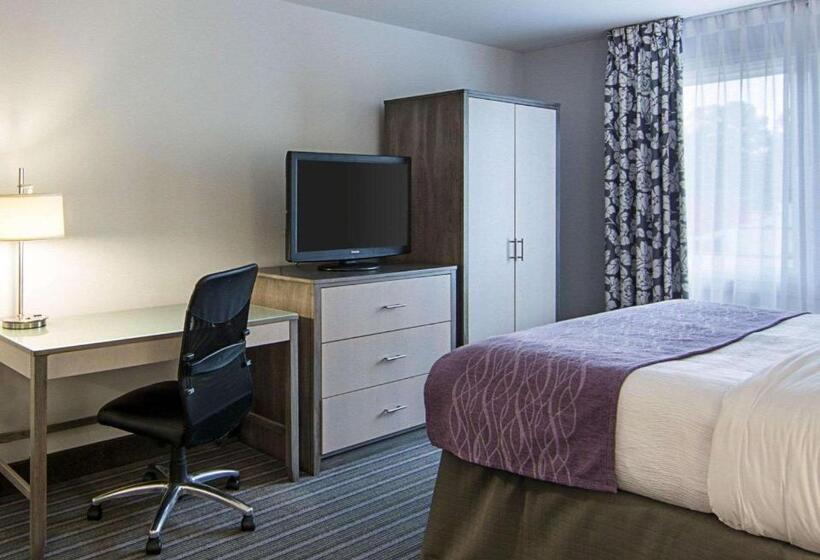 اتاق استاندارد با تخت بزرگ, Comfort Inn Williamsburg Gateway