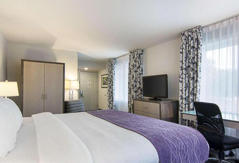 اتاق استاندارد با تخت بزرگ, Comfort Inn Williamsburg Gateway