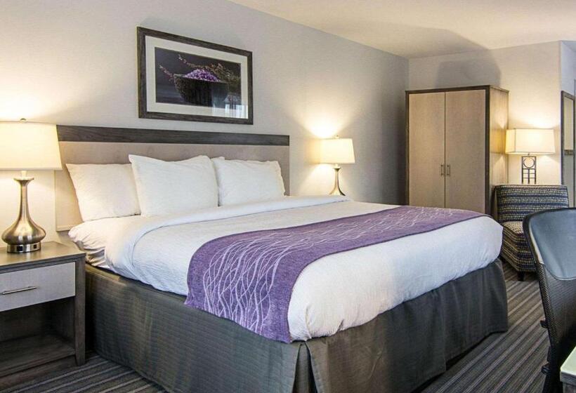 اتاق استاندارد با تخت بزرگ برای معلولان, Comfort Inn Williamsburg Gateway