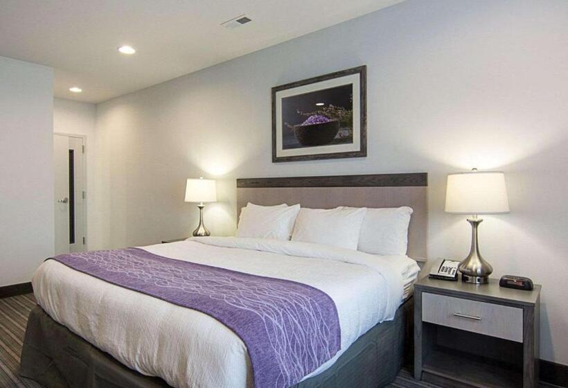 اتاق استاندارد با تخت بزرگ برای معلولان, Comfort Inn Williamsburg Gateway