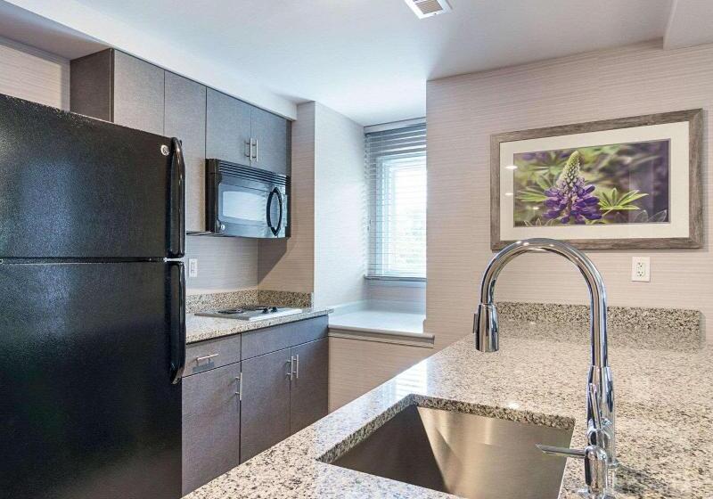 سوئیت با تخت بزرگ, Comfort Inn Williamsburg Gateway