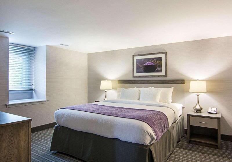 سوئیت با تخت بزرگ, Comfort Inn Williamsburg Gateway