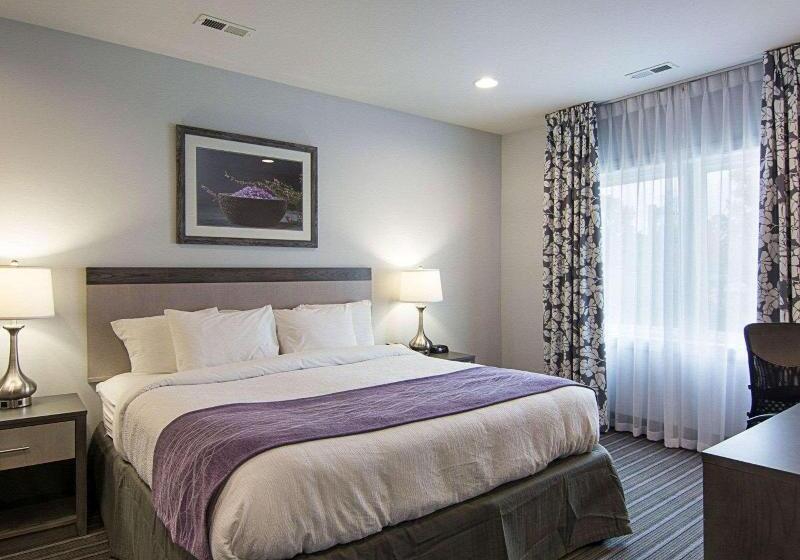 سوئیت با تخت بزرگ, Comfort Inn Williamsburg Gateway