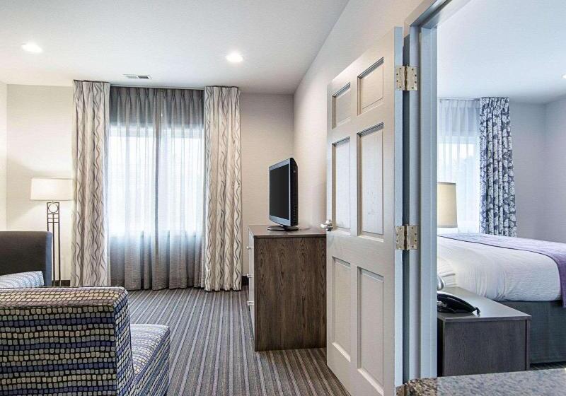 سوئیت با تخت بزرگ, Comfort Inn Williamsburg Gateway