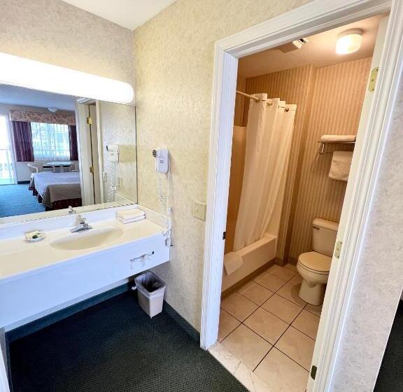 Standard Room, Court Plaza Inn & Suites Of Mackinaw