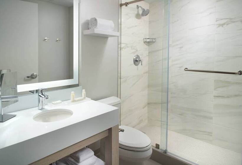 Номер Стандарт 2 Двуспальные Кровати, Courtyard Miami Coconut Grove