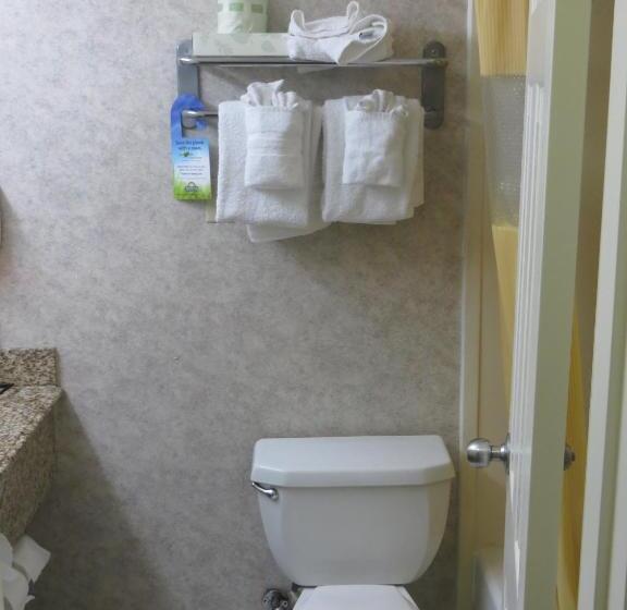 اتاق استاندارد با تخت بزرگ, Days Inn By Wyndham Los Angeles Lax/venicebch/marina Delray