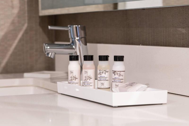 اتاق استاندارد با تخت بزرگ, Skyline Hotel Detroit Airport, Surestay Collection By Bw
