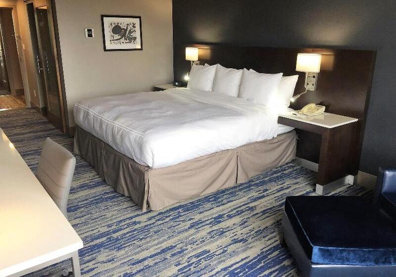 اتاق استاندارد با تخت بزرگ, Skyline Hotel Detroit Airport, Surestay Collection By Bw