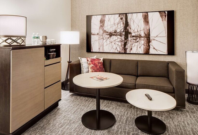 سوییت جونیور, Doubletree By Hilton Hotel & Suites Jersey City