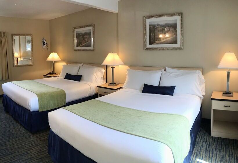 اتاق استاندارد, Napa Discovery Inn