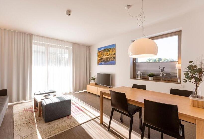 آپارتمان 1 خوابه, Alpenrock Schladming By Alps Resorts