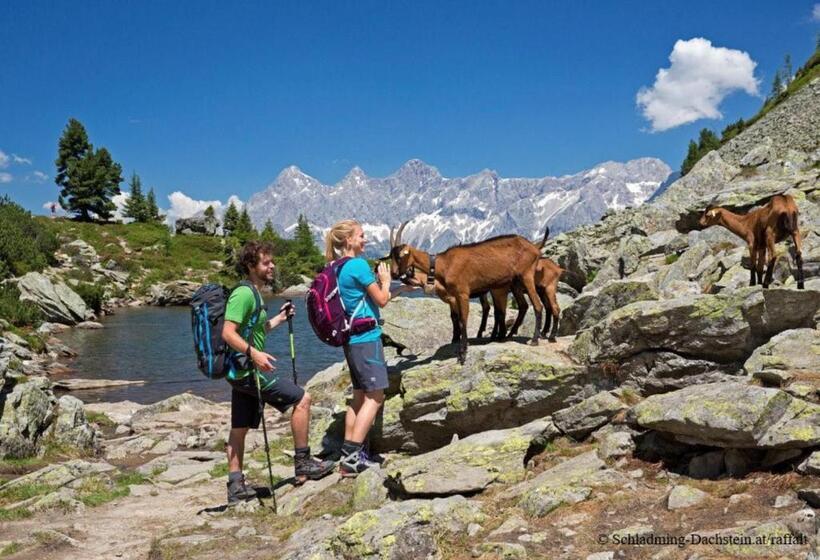 آپارتمان 1 خوابه با چشم‌انداز, Alpenrock Schladming By Alps Resorts