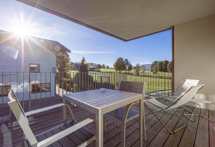آپارتمان 1 خوابه, Alpenrock Schladming By Alps Resorts