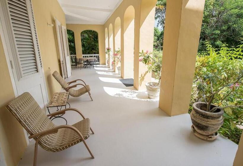 اتاق لوکس, Colleton Great House