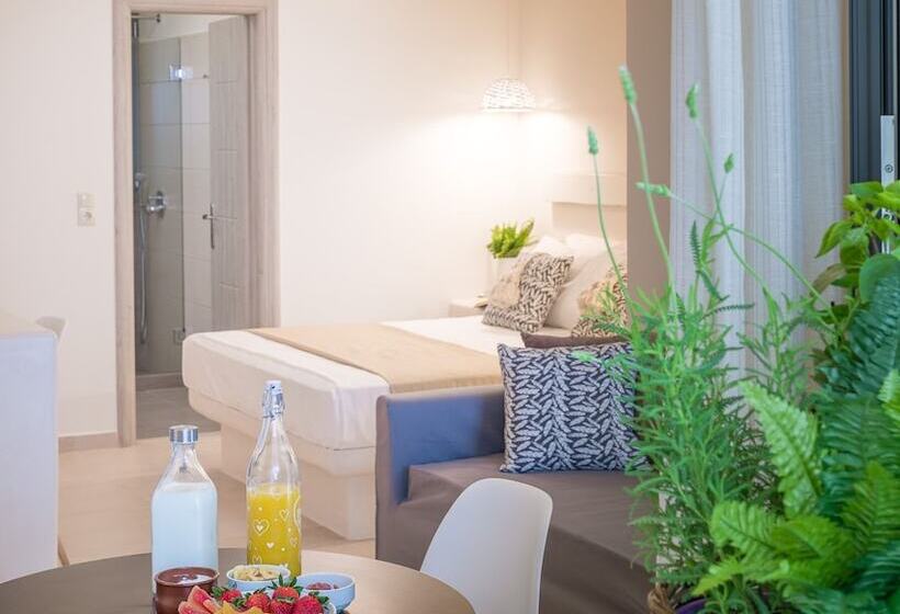 اتاق استاندارد, Sweet Home Naxos