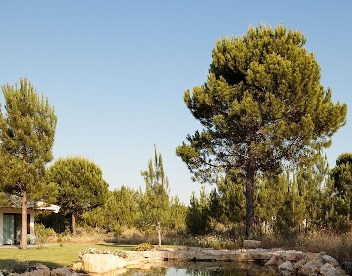 ویلای 3 خوابه, Spatia Comporta