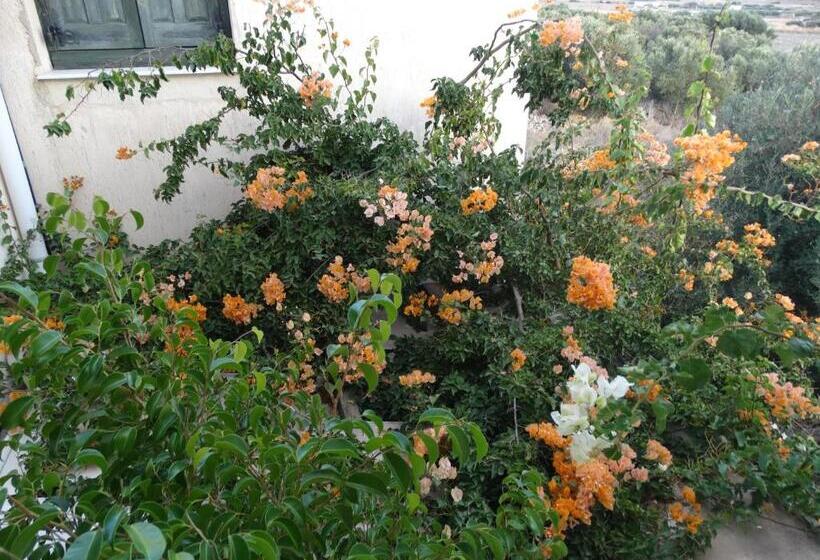 استودیوی سوپریور, Avra Milos